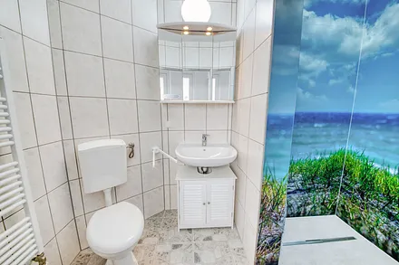 Fewo Schwalbennest: der Blick in das modernes Bad (ca. 4,5 m²) mit großer Dusche/WC