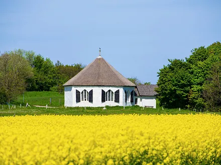 Der Frühsommer an der Ostsee erwartet Sie mit grandiosen Farben