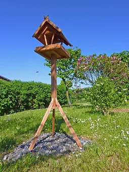 Hier treffen sich gern unsere kleinsten Gäste: Blaumeisen, Kohlmeisen, Haussperling, Feldsperling, Buntspecht, Grünling, Sumpfmeise und Amsel.