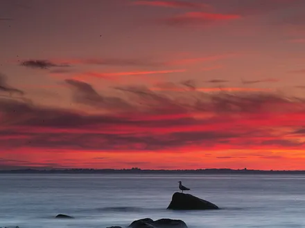 Sonnenuntergang mit Blick auf Kap Arkona