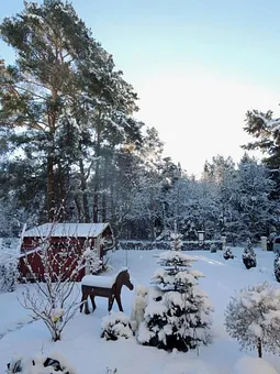 Im Winter der Blick zum Wald