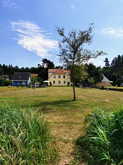 Wiesen auf Nordseite unseres Hauses. Obere 3 Fester: App. Wiesenblick