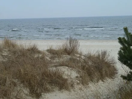 Strand mit Dünen