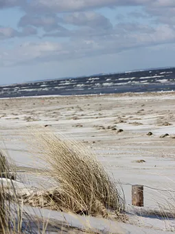 Der Strand im Winter.