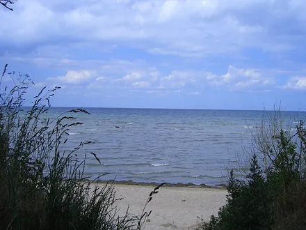 Strand am schwarzen Busch