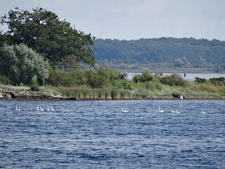 Naturschutzgebiet Gollwitz