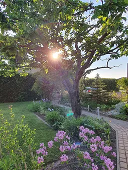 der Weg zum Parkplatz