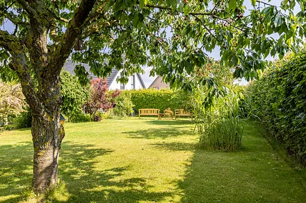  Garten