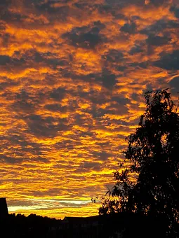 Morgen wird wieder ein schöner Sommertag