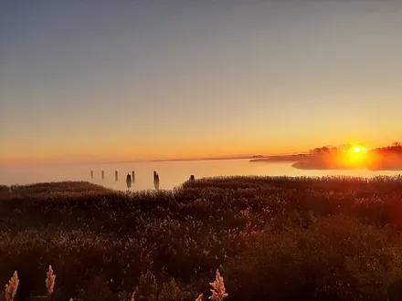 Abendstimmung am Bodden