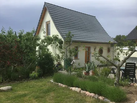 Hofansicht mit Wiese