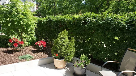 Begrünung derTerrasse