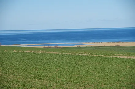 Acker mit Haff