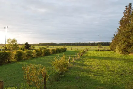 Blick vom Haus in Richtung Daßer Wald 