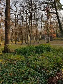Verandablick in den Kurpark