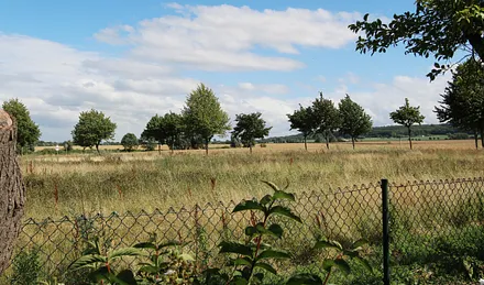 Blick vom Grundstück