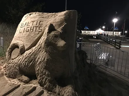 Hunderennen am Ostseestrand