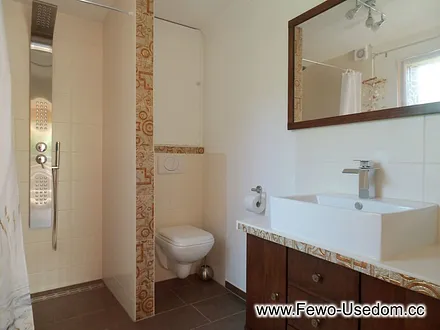 Das Bad mit Dusche, WC und WB