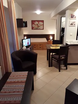 Gesamtansicht kombinierter Wohn-/Schlafraum