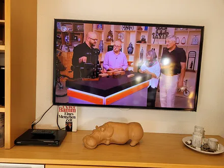 65 Zoll HDTV für Regentage