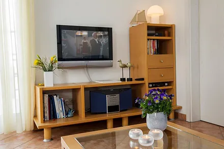 TV, Radio und Bücher