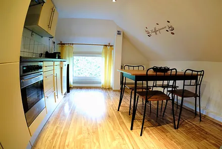 Separate Küche der Wohnung 3 mit Geschirrspüler und Essplatz für 4 Personen