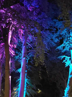 Farbenspiel zum Lichterfest