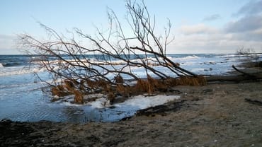 wenn die Stürme kommen