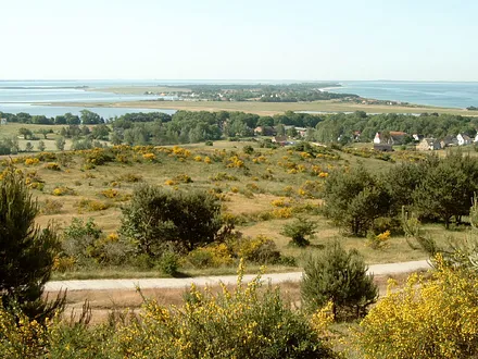Blick über die Insel und die Ostsee