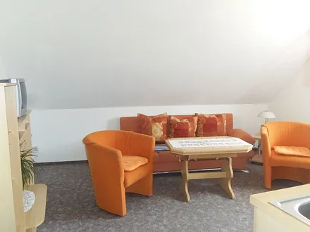 Wohnzimmer mit Liegesofa (eventuelle Aufbettung für 2 Personen)