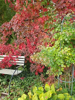 Herbst