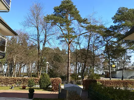 Blick auf den Kurpark von der Terrasse aus