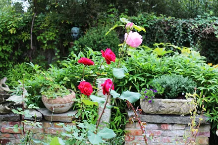 Künstlergarten von Otto Niemeyer-Holstein