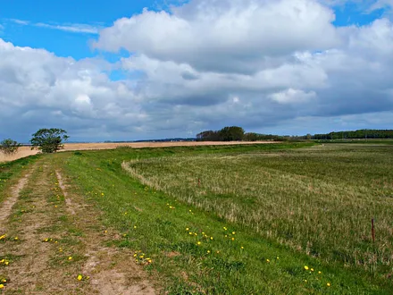Koserower Deich am Achterwasser