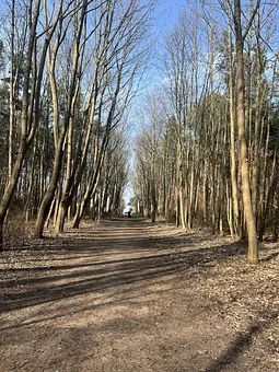 Durch den Stadtwald zur Ostsee