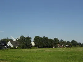 Unsere Ferienanlage liegt am Rande eines Naturschutzgebietes -  Sie schauen auf endlose Wiesen mit Störchen und Pferden - oder Drachen am Himmel !