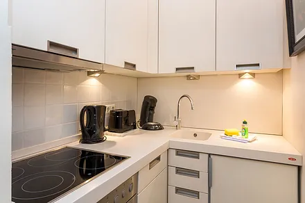 Die Küchenzeile ist mit Geschirrspüler und allem nötigen Komfort ausgestattet. 