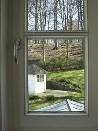 Blick in den Garten und zum Wald (D304)