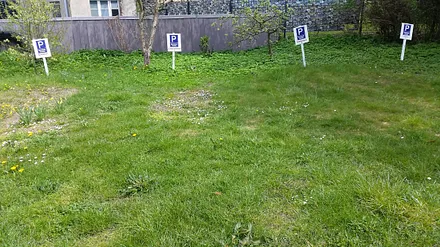 Gemeinschaftsparkplatz