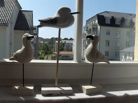 Ausblick vom Wohnbereich.