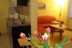 Blick auf Küchenzeile und Wohnraum