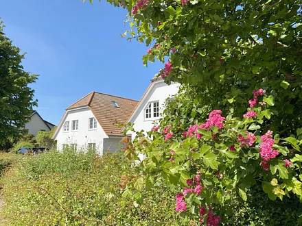 Lotsenberg Apartments