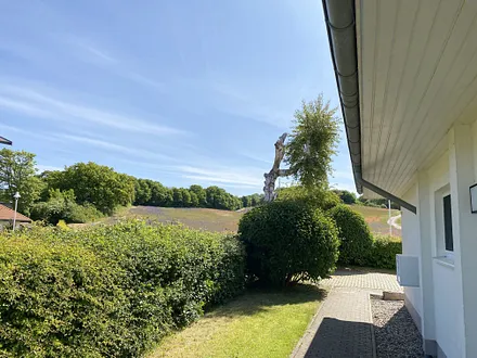 Haus A mit Blick zum Lotsenberg