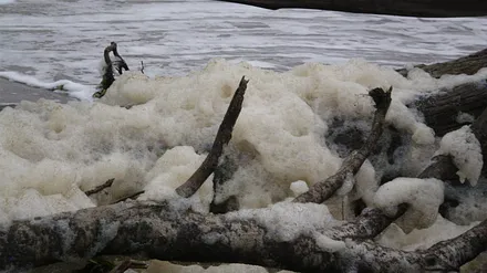 Weststrand im Herbst