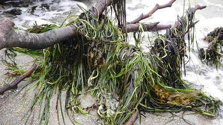 Weststrand nach dem Sturm