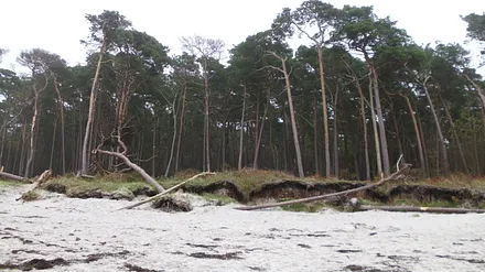 Weststrand im Herbst