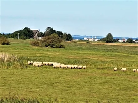 Blick über den Bodden