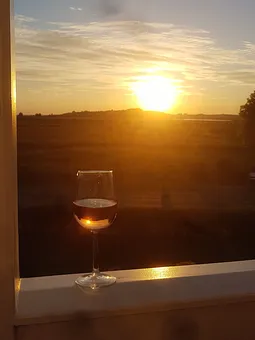 ...und Wein am Abend