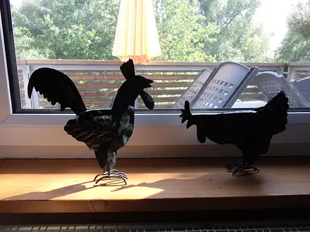 Blick aus dem Schlafzimmer