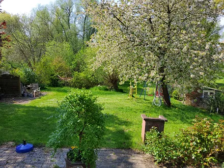 Garten im Frühjahr